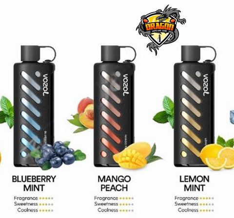 Vozol Gear Shisha 25000 Puff Disposable| Vozol Vape Dubai