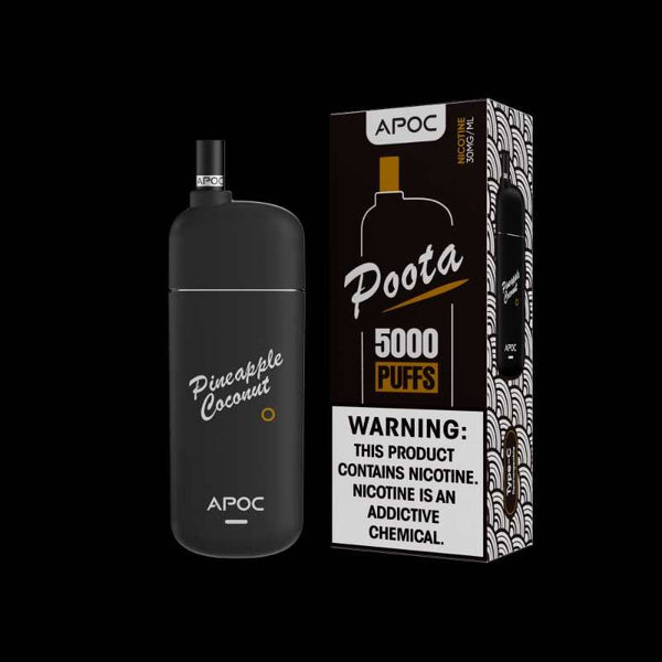 ivg 6000 big puff vape Big Pods Vape 5000 Puffs Rechargeable Vape main image 1
