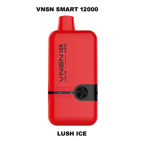 NEW VNSN SMART 12K Puffs IN DUBAI