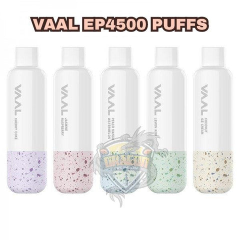 NEW VAAL EP-4500 Rechargeable Disposable