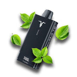 IGNITE V150 15K Puff Disposable Kit Dubai