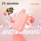 Buy ELF BAR 10000 Puffs 2% (20mg) Nicotine Disposable Vape in Dubai & Abu Dhabi